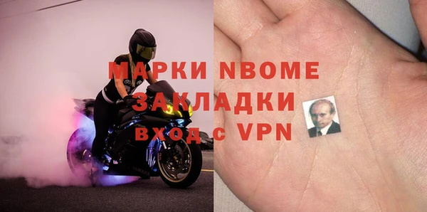 сатива Новокубанск