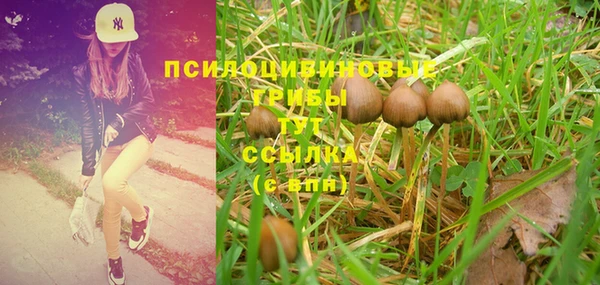 марки lsd Новодвинск