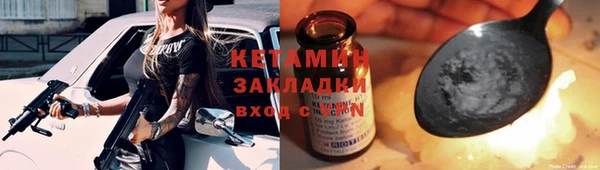 сатива Новокубанск