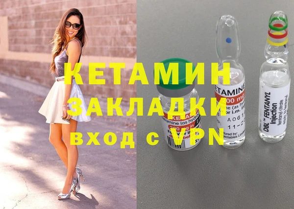 сатива Новокубанск
