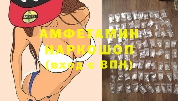 сатива Новокубанск