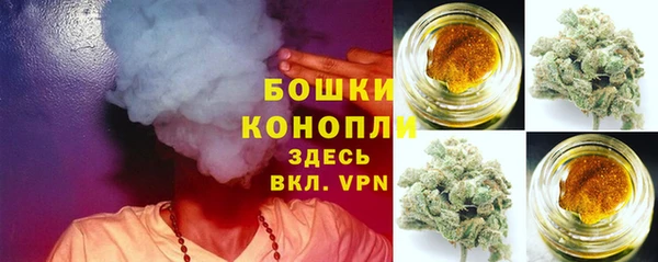 прущий лед Новозыбков